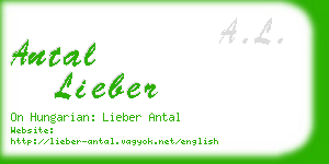 antal lieber business card